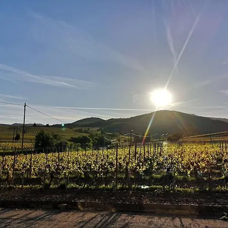 Daire Le Cocon De Jeannette