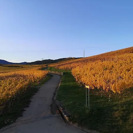 Le Cocon De Jeannette Bergheim