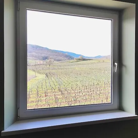 Le Cocon De Jeannette *