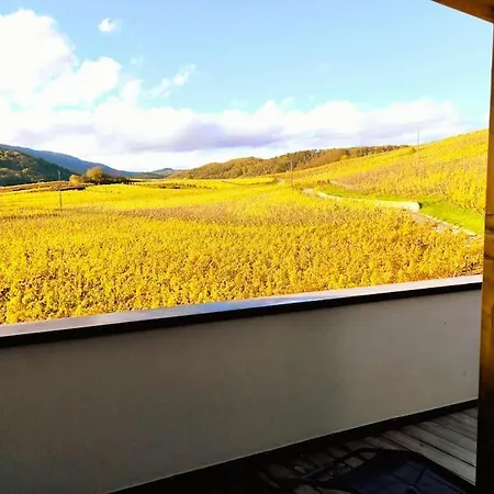 Le Cocon De Jeannette Daire Bergheim