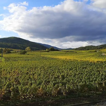 Le Cocon De Jeannette