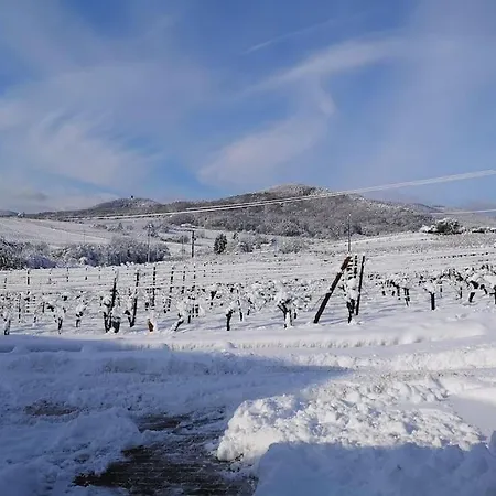 Daire Le Cocon De Jeannette