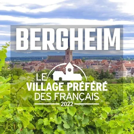 Daire Le Cocon De Jeannette *